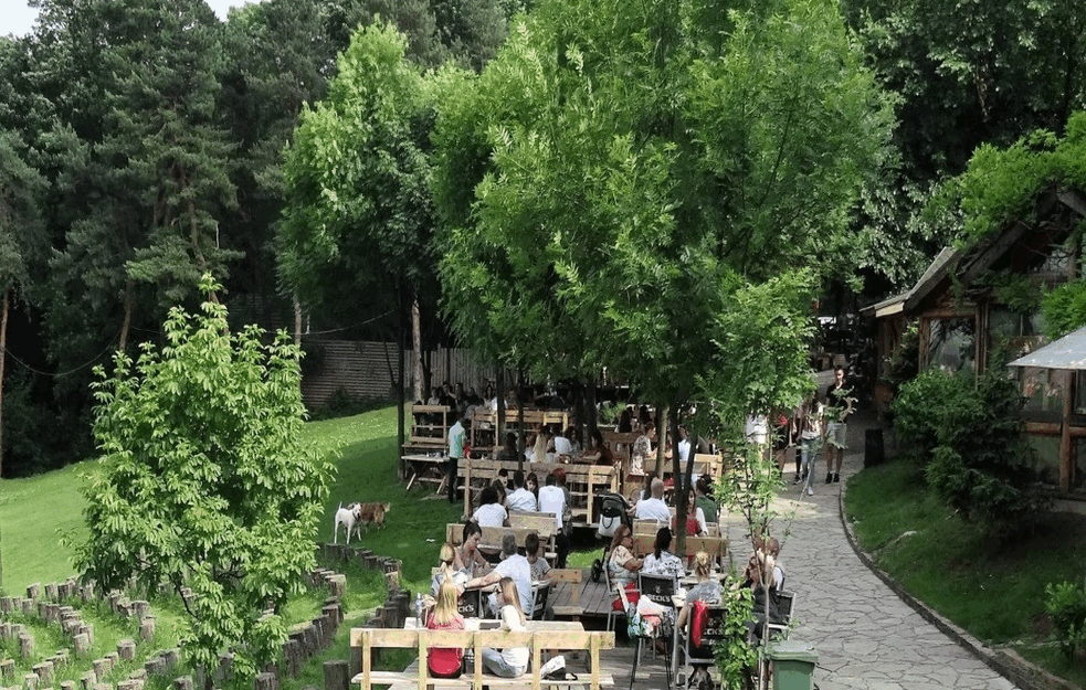 Zeleni uputili dramatično upozorenje: Spremaju neviđenu seču u Košutnjaku